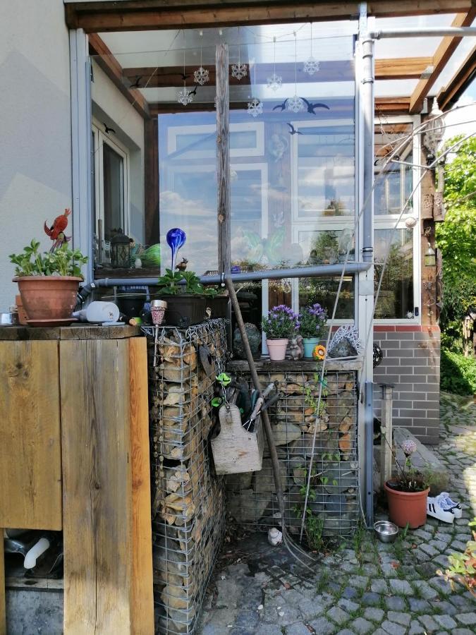 מונשאו Ferienwohnung Palm מראה חיצוני תמונה